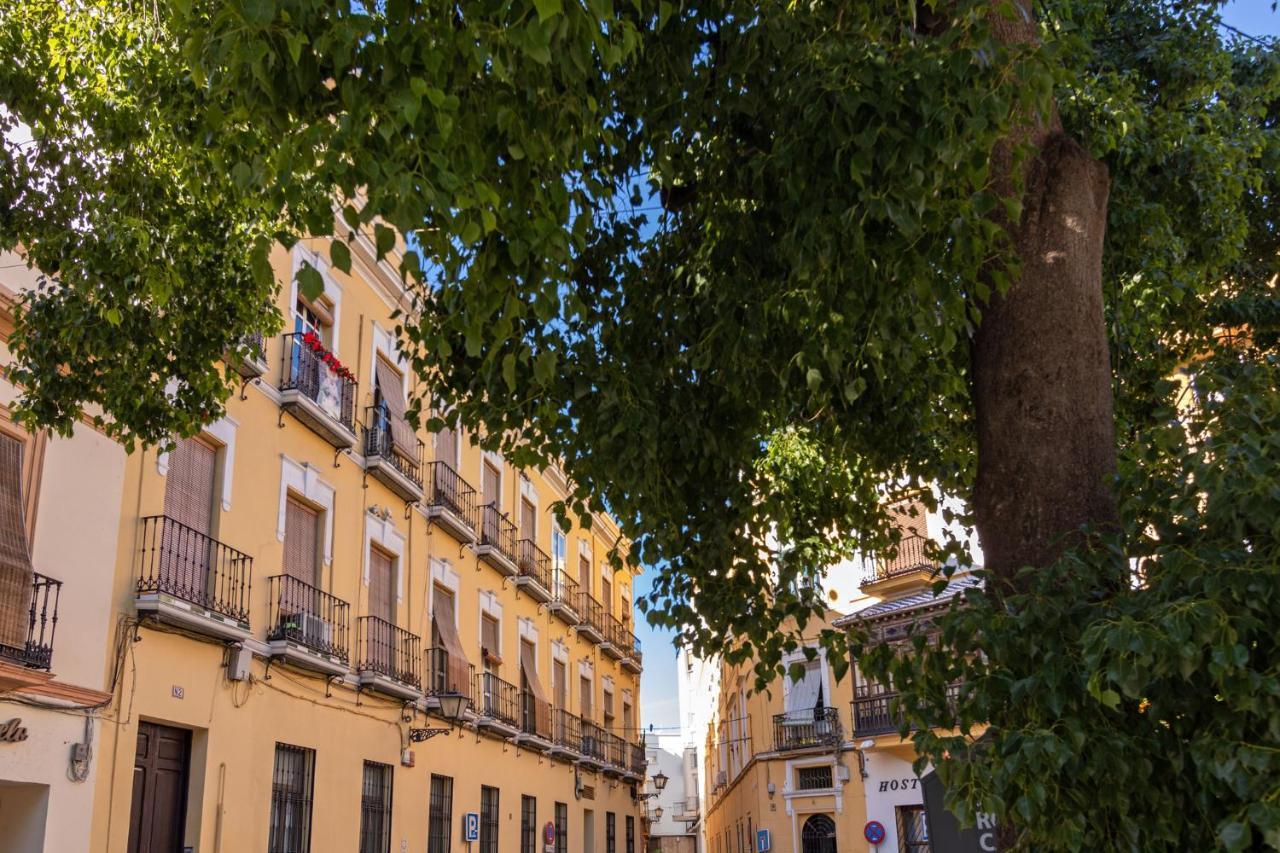 Nine O Clock San Agustin Apartment Seville Exterior photo